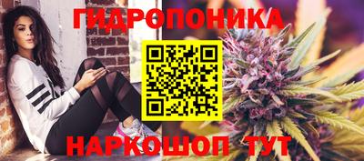гашик Краснознаменск