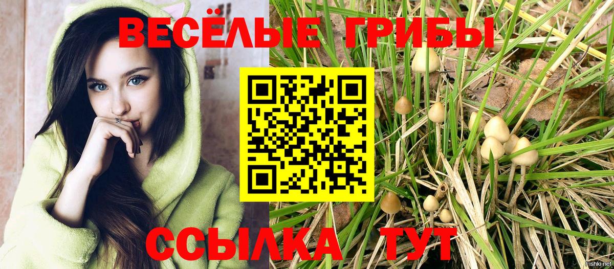 Псилоцибиновые грибы мухоморы Димитровград
